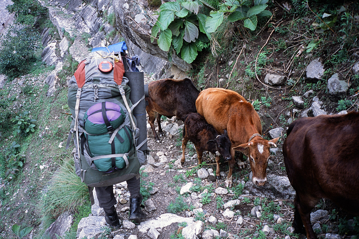 Trekking in the mountains of Uttarakhand in the Indian Himalaya